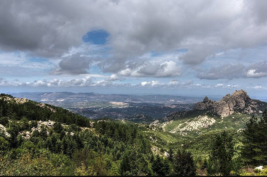Arboreto Mediterraneo del Limbara, Italy, Italy